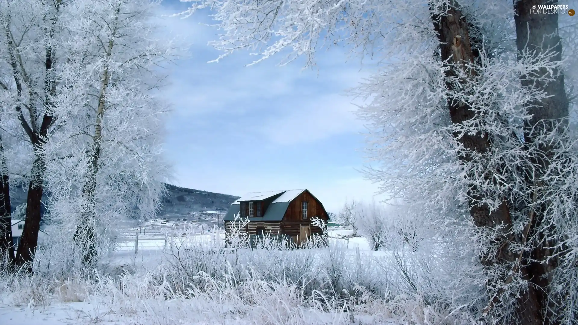 viewes, winter, wooden, house, snow, trees