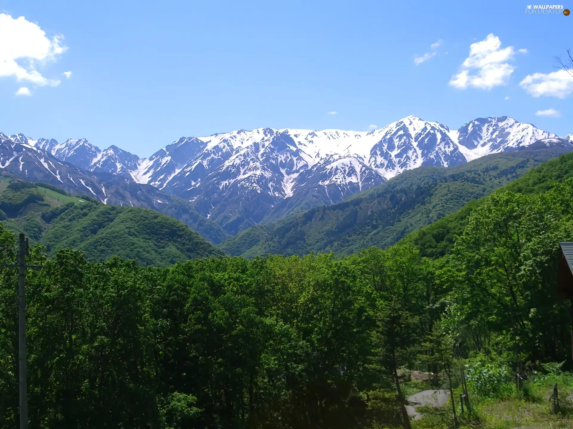 Alps, Mountains, woods, Switzerland