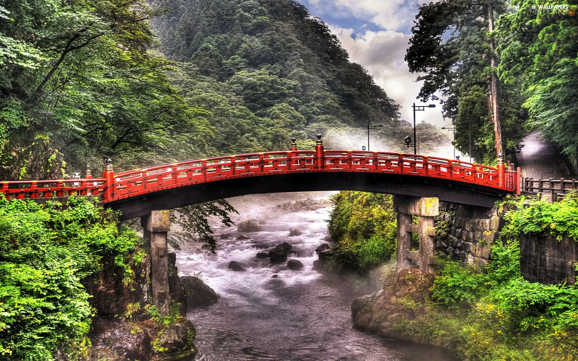 woods, River, bridge