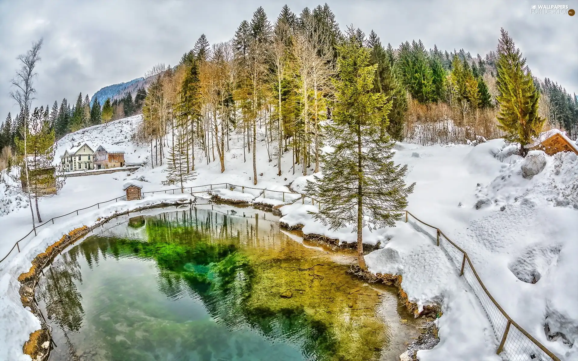 Pond - car, winter, woods