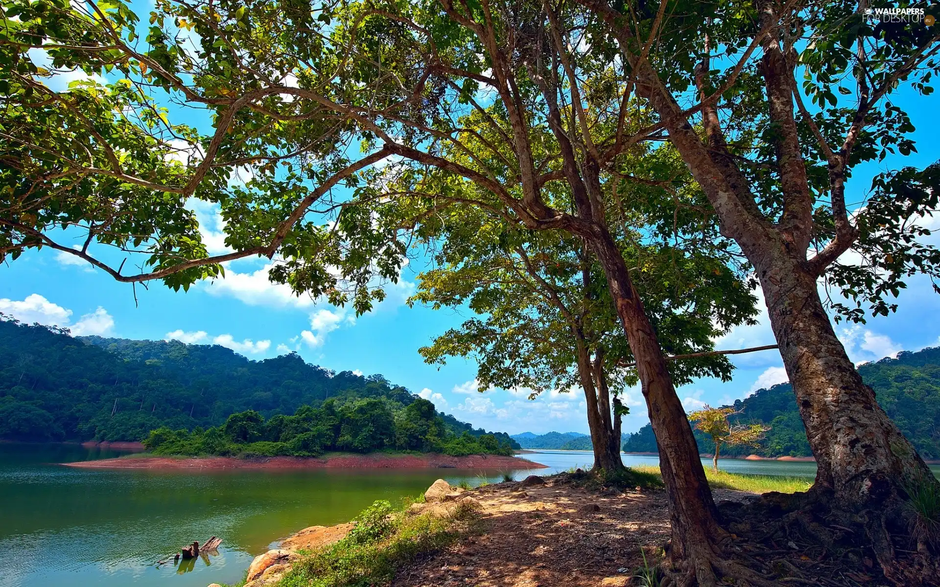 woods, clouds, Island, Mountains, lake