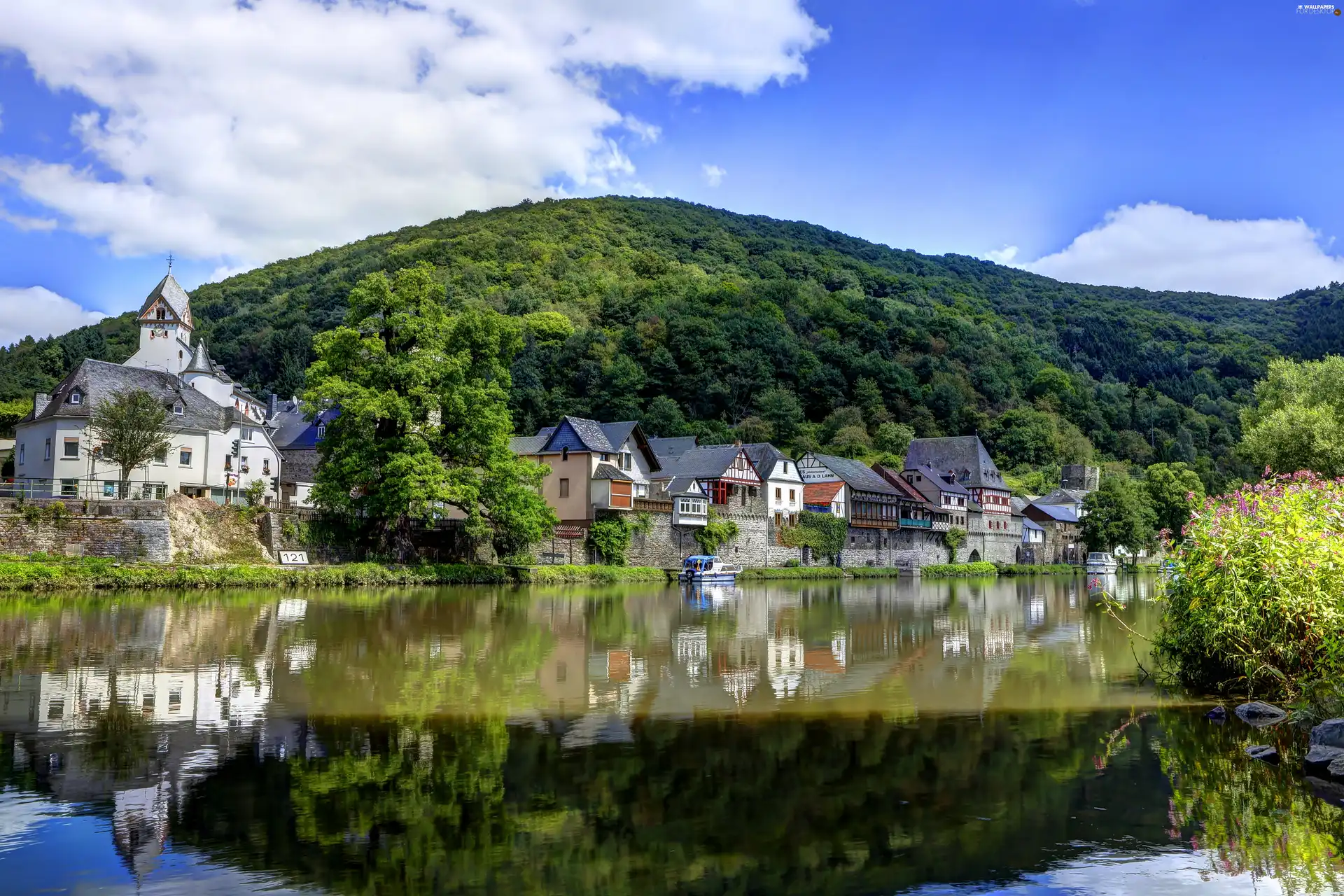 woods, River, Houses