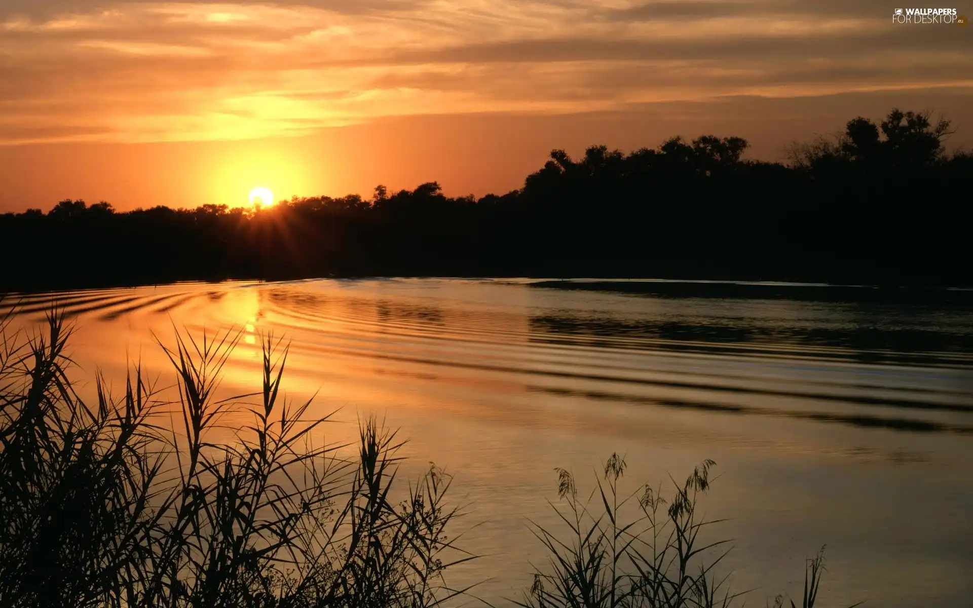 lake, sun, woods, west