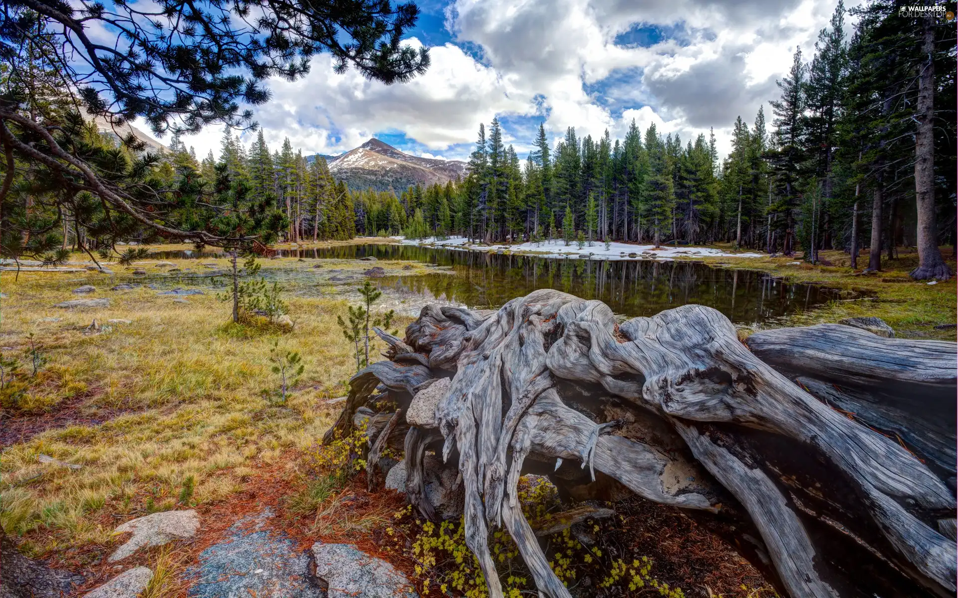 woods, Mountains, lakes