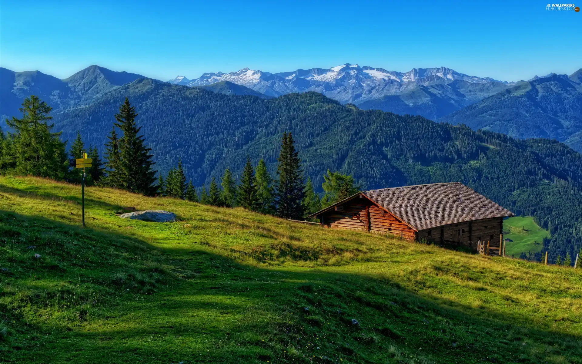 Mountains, house, Meadow, woods