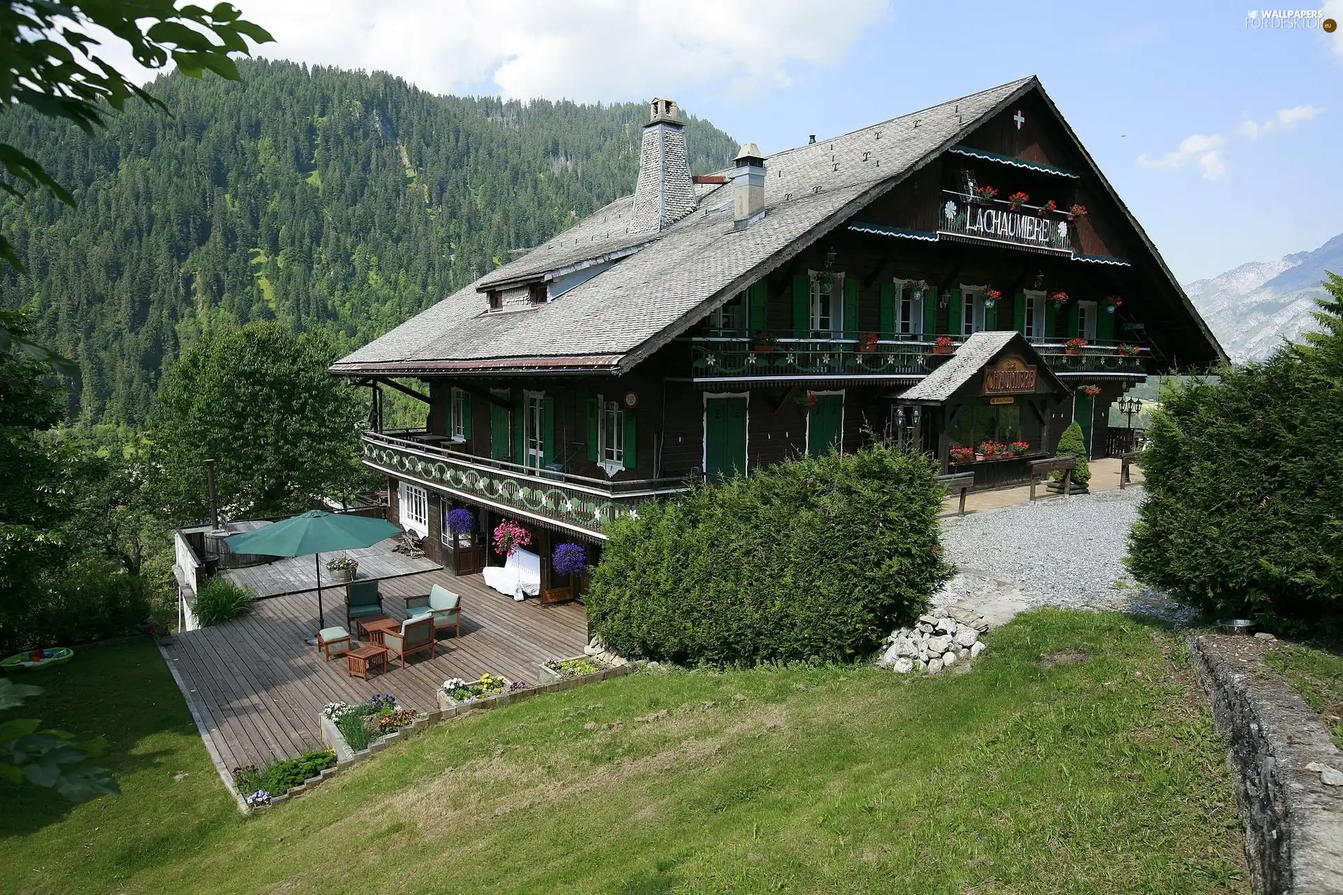 woods, Restaurant, Mountains