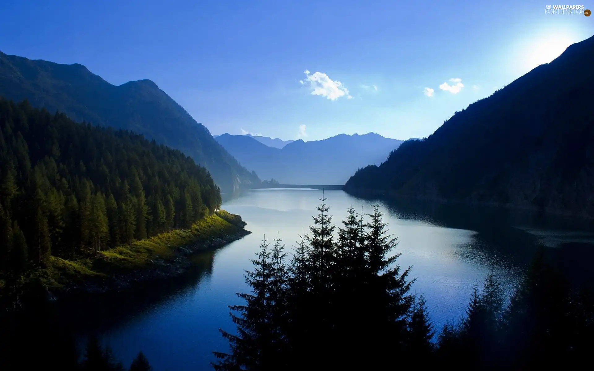 woods, River, Mountains