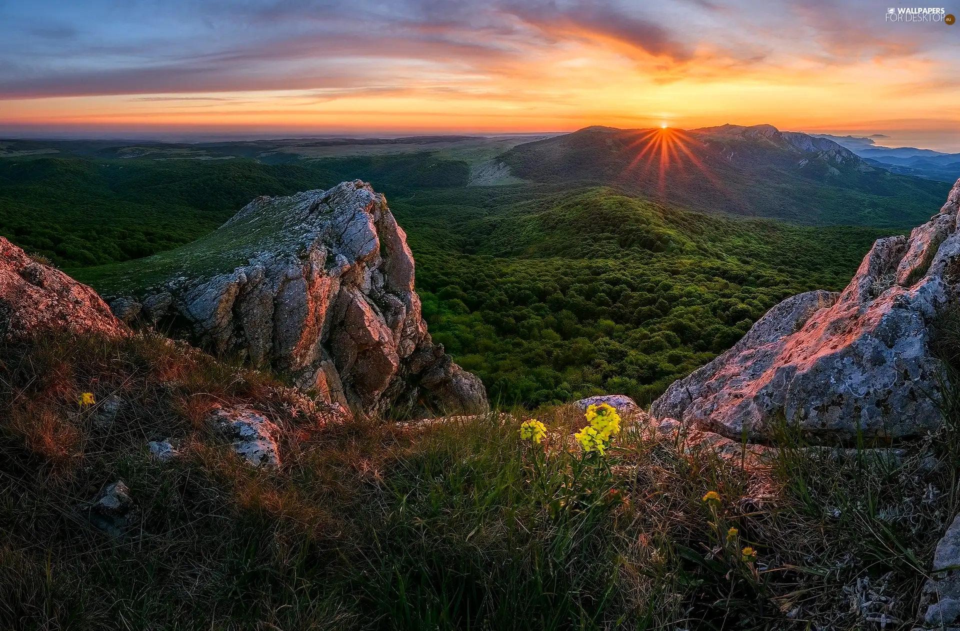 woods, Plants, The Hills, rocks, rays of the Sun