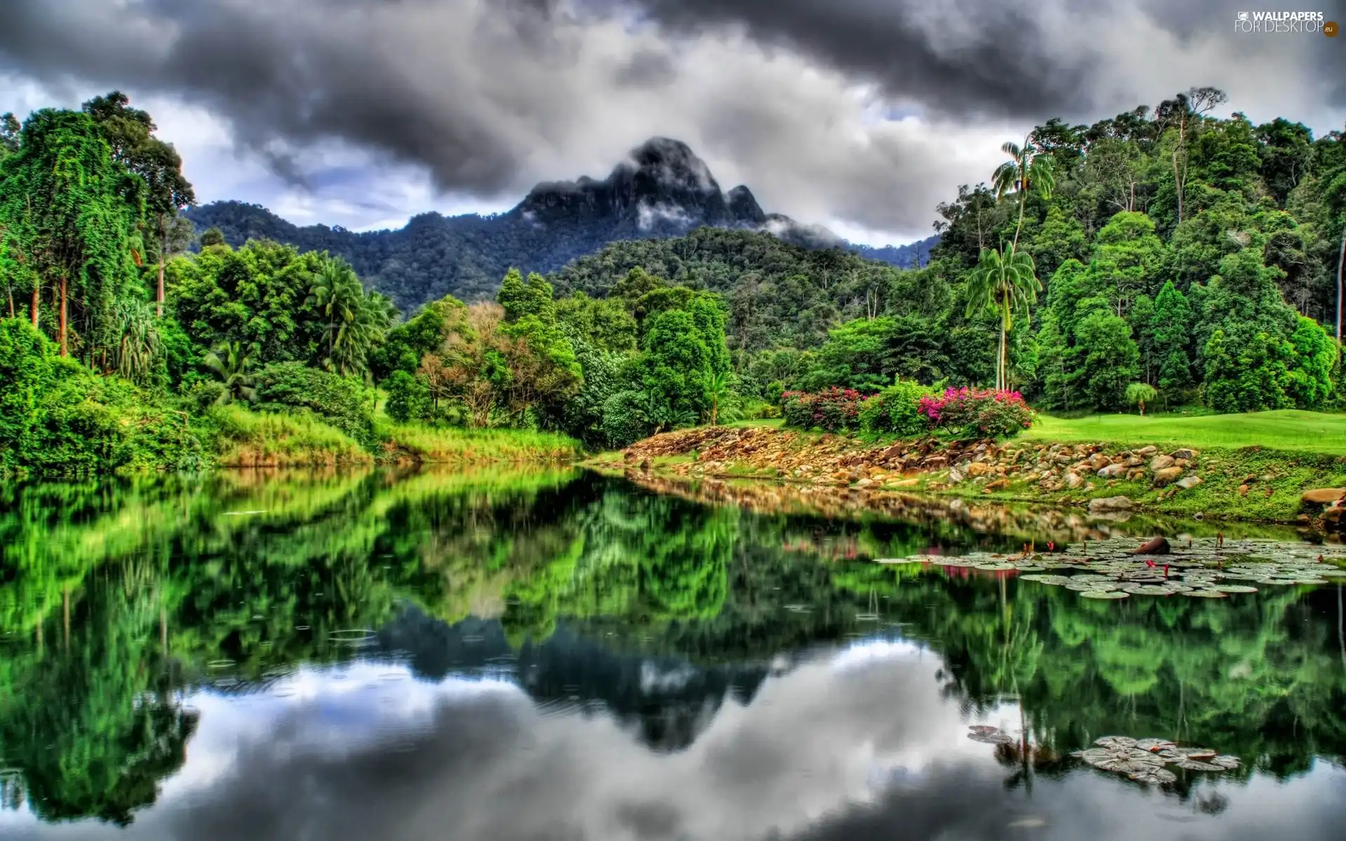 woods, reflection, Mountains, River, clouds