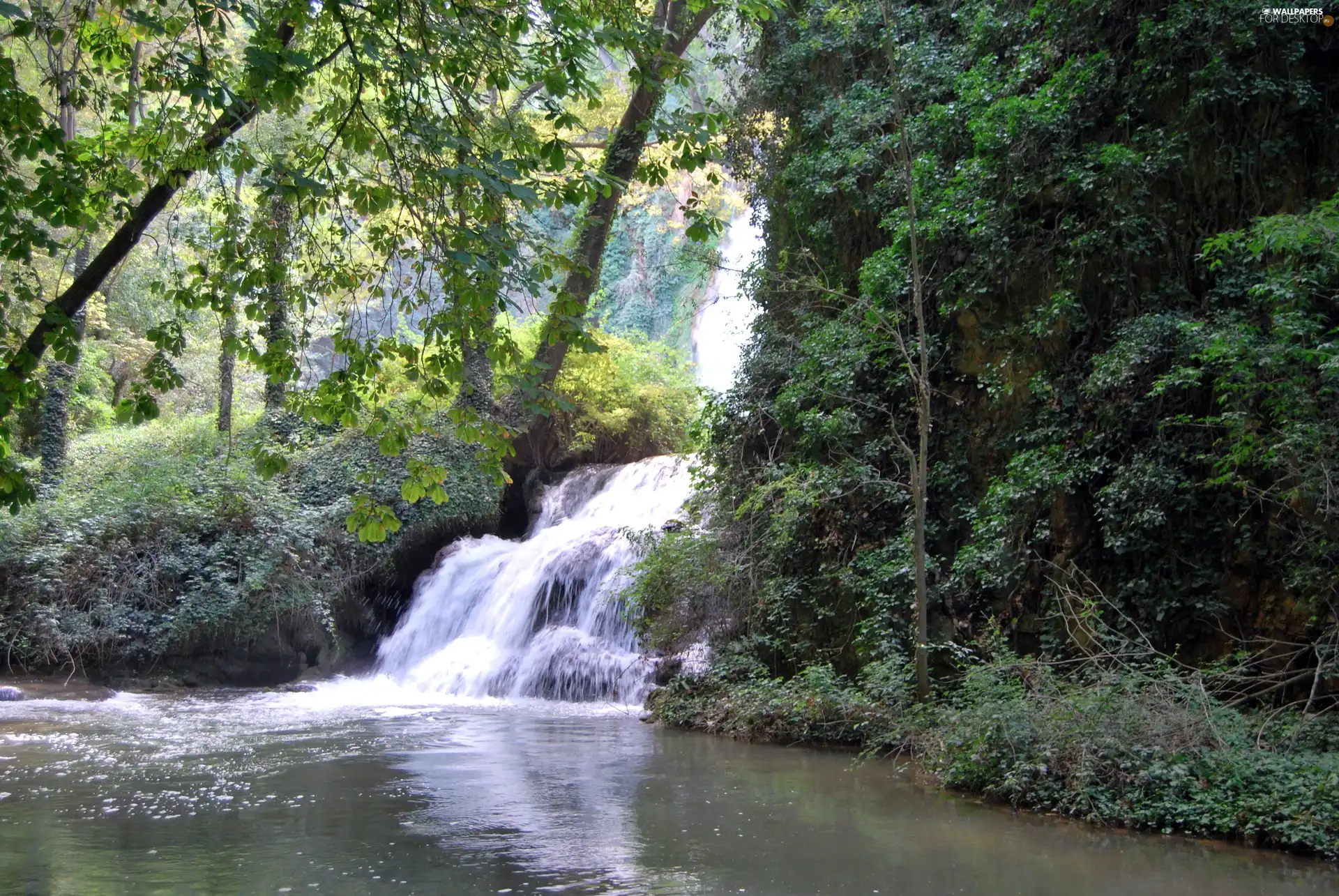 River, mountains, woods, waterfall