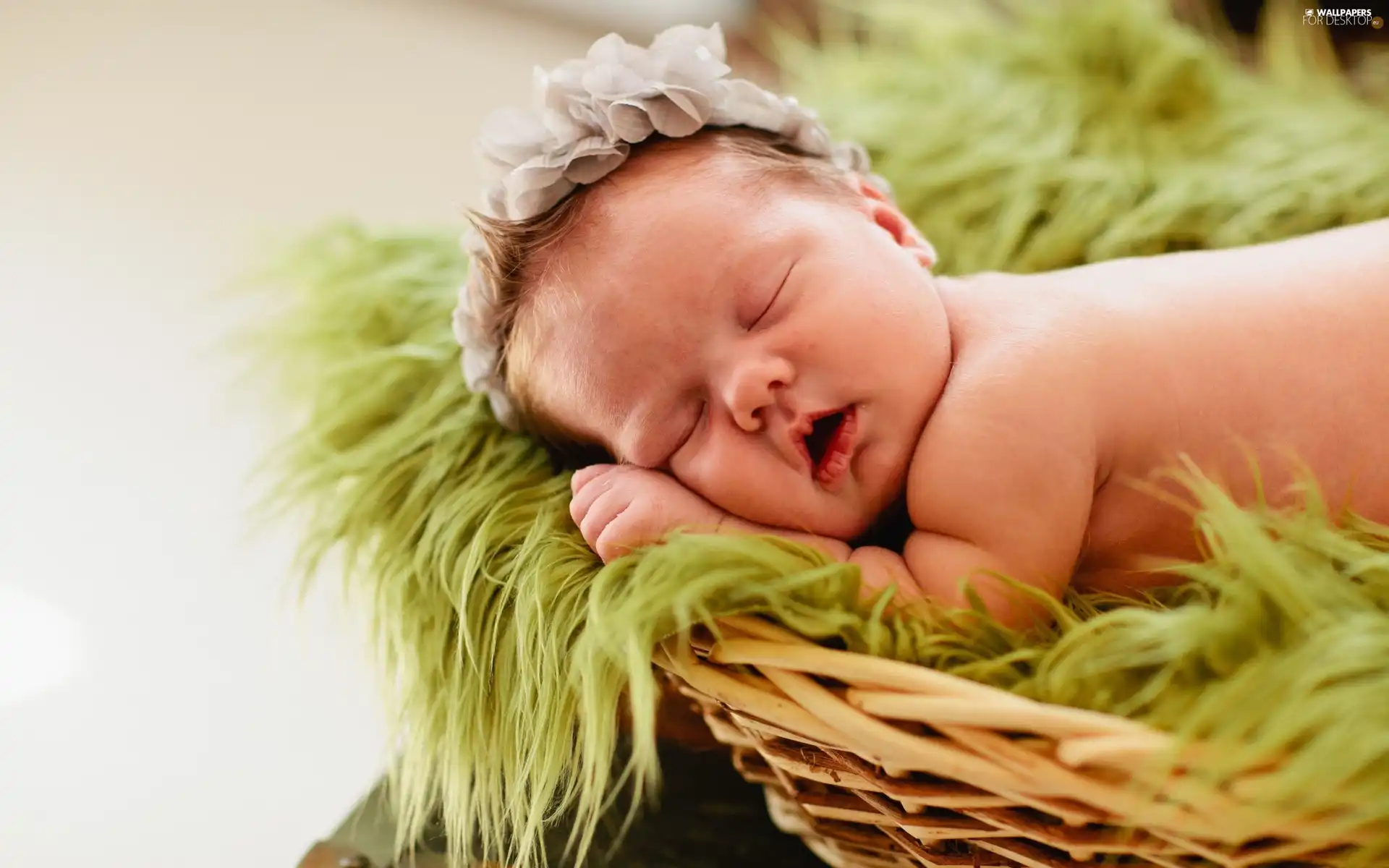 wreath, Sleeping, baby