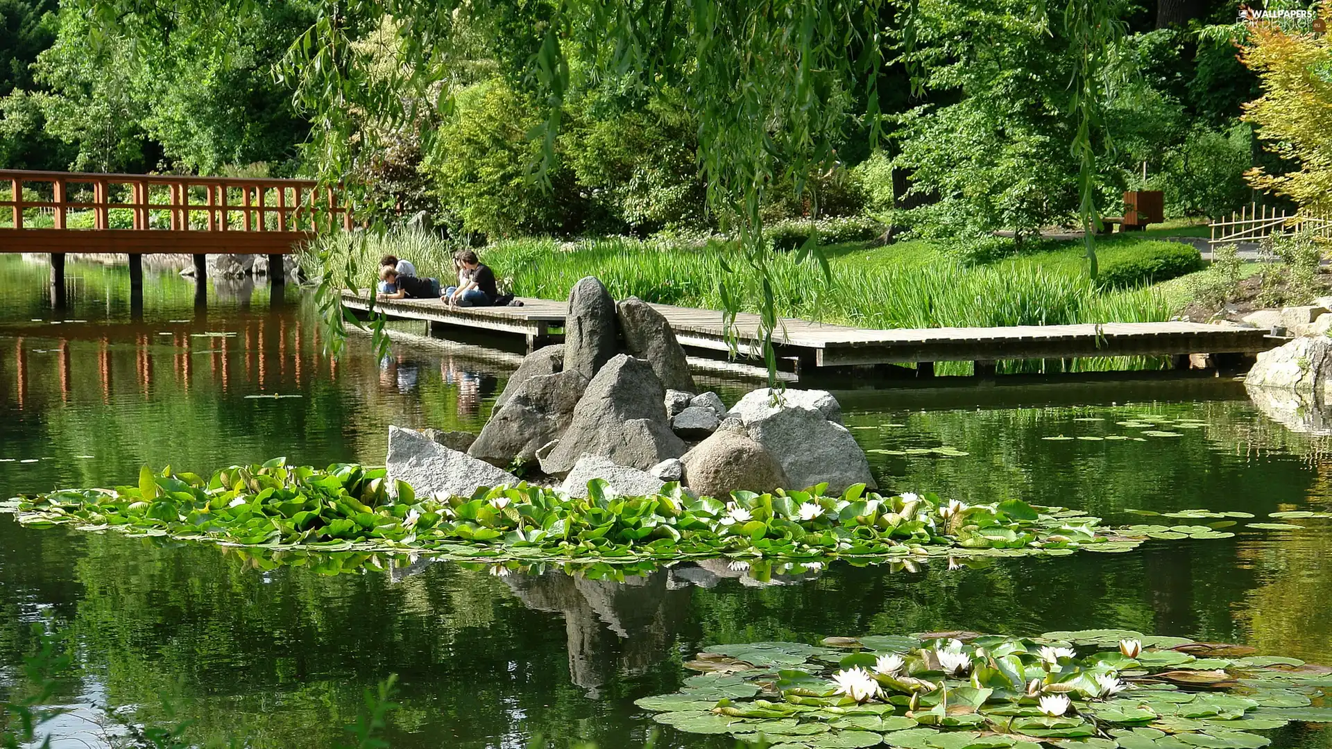 Park Szczytnicki, Japanese Garden, Wroclaw