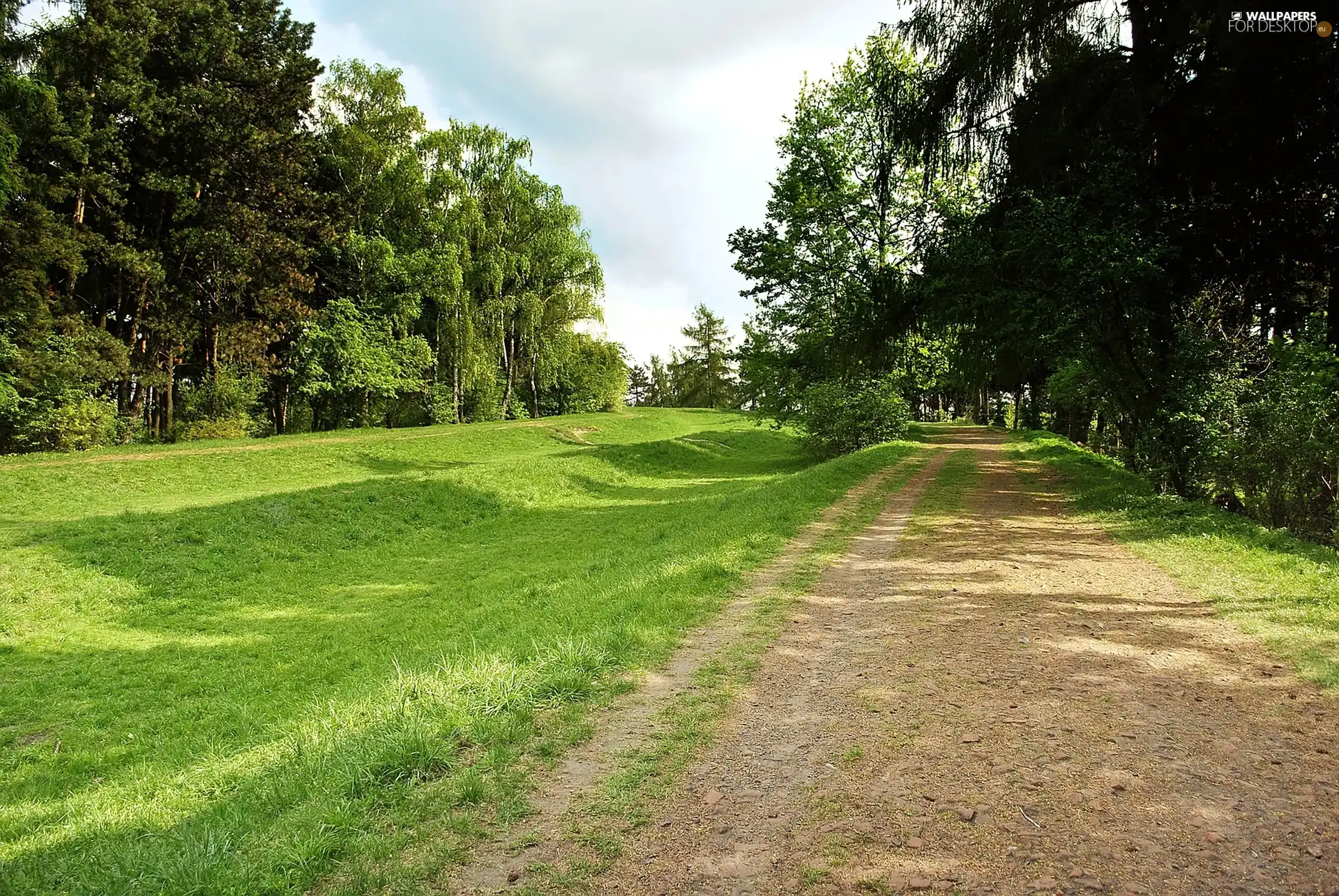 Park, Wroclaw