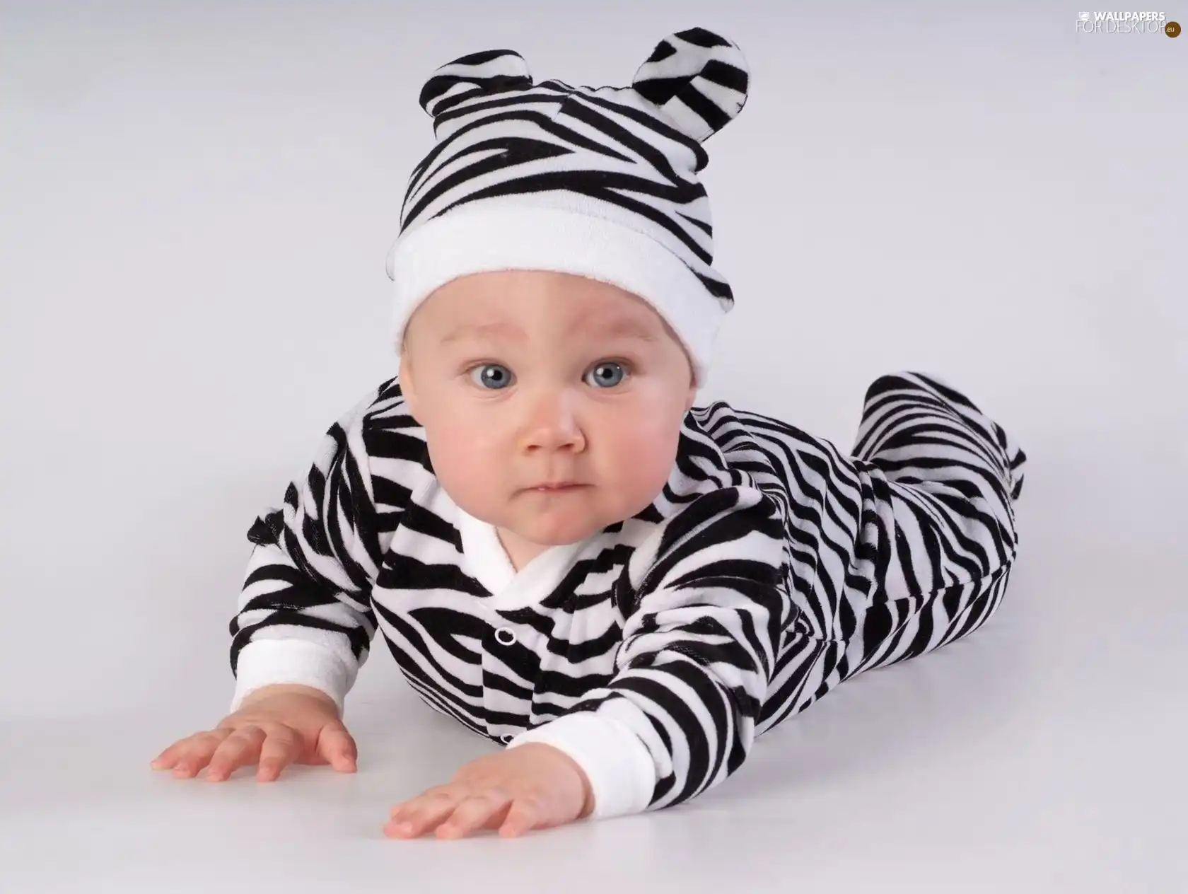 little doggies, clothes, zebra, Kid