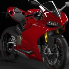 Ducati 1199 Paginale