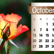 Calendar, october, 2013, roses