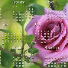 graphics, Calendar, 2013, roses