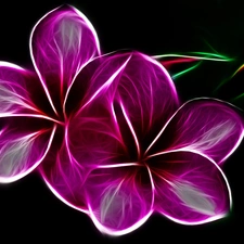 3D, purple, Flowers