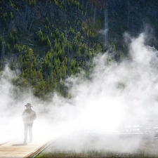 forest, bridges, a man, Fog