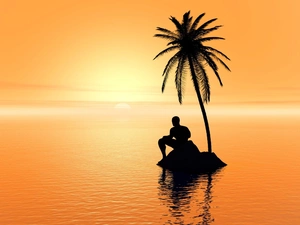 a man, sea, west, sun, Palm, Islet