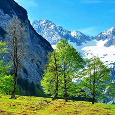 trees, Mountains, Alps, Austria, viewes, snow