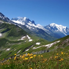 Alps, Meadow, Mountains