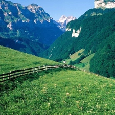 Meadow, Mountains, Alps, Switzerland, fence, forest