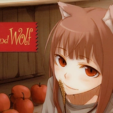 Spice and Wolf