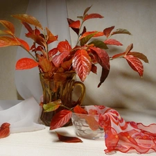 bouquet, Leaf, apatite, Twigs