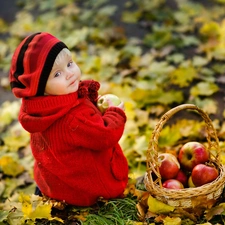 Leaf, girl, apples, autumn, basket, Meadow