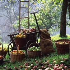 apples, orchard, Baskets