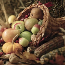 pumpkin, truck concrete mixer, apples