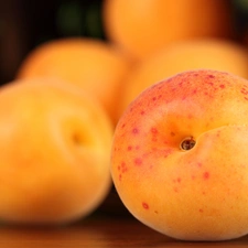 Mature, apricots