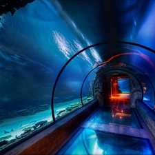 Aquarium, immersed, tunnel