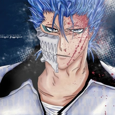 number 6, Grimmjow, Arrancar