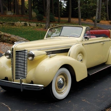 Automobile, antique, Special, Cabriolet, Buick