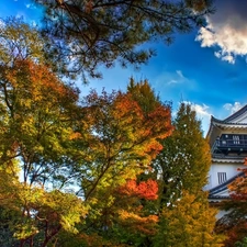 Japan, big Castle, autumn