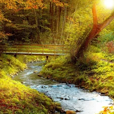 brook, forest, autumn, bridge