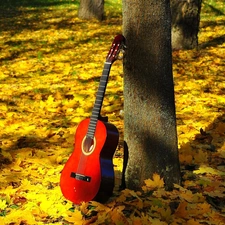 Guitar, Leaf, autumn, forest