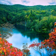 autumn, forest, lake