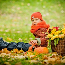 autumn, Kid, Leaf