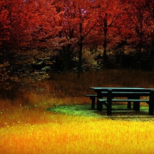 trees, viewes, car in the meadow, Autumn, Bench