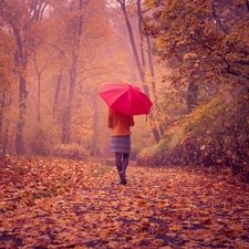 Park, Leaf, autumn, Women