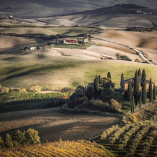 autumn, The Hills, vineyards, house, field, Tuscany, Italy, cypresses