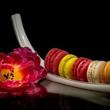 Cookies, Flowers, dark, background, Macaroons, Tulips