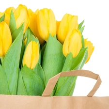 Yellow, paper, bag, Tulips