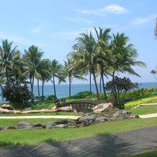 Park, Palms, Bali, bridges