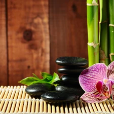 orchid, mat, bamboo, Stones