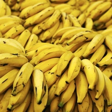 bananas