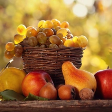 basket, Fruits, autumn